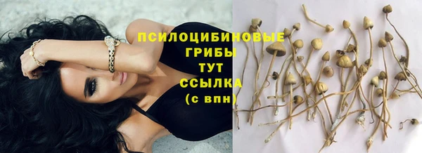 2c-b Абинск